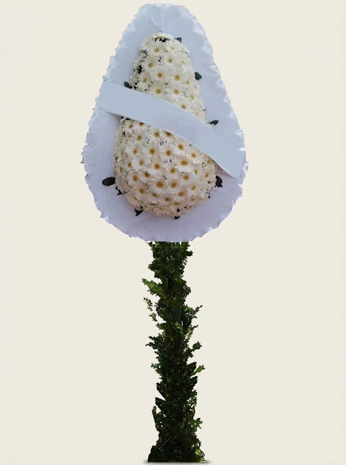 Beyaz Gerbera Çelenk Beyaz Gerbera Çelenk